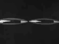 动画 大眼睛 猫头鹰 夜晚