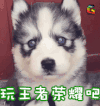 soogif soogif出品 玩王者荣耀吧 王者荣耀