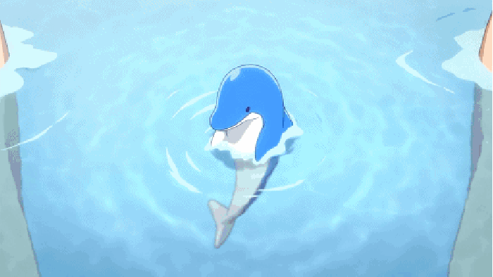 海豚 水里 戏水 独自