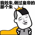 姓氏 金馆长 搞笑 那个朱