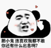 暴漫 文字表情包 胆小鬼连喜欢我都不敢你还有什么出息啊 搞怪 沙雕 魔性