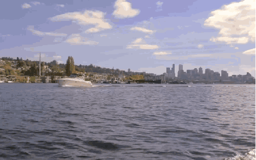 城市 海洋 纪录片 美国 西雅图 风景