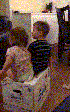 两个孩子 坐纸箱 掉下去 可爱