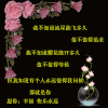 动图 图片  美图  黑色