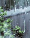 下雨 唯美 强迫症 风景