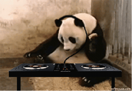 熊猫 耳机 听音乐 开心