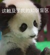 萌宠 熊猫 这触及了我的知识盲区 懵了 搞怪 逗