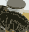 maru 宠物 虚胖 奇特 搞笑 喵星人 ~~~ 萌 爱好 gif