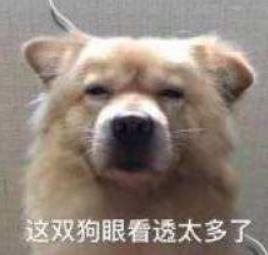 大杂烩 文字表情包 魔性 搞笑 逗