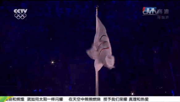 里约奥运会  开幕式 旗帜