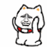 小猫 可爱 金馆长 给您下跪