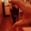 穿越 搞笑 gif 消失