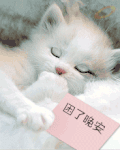 睡觉 困了 晚安 猫咪