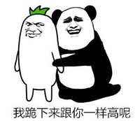 暴漫 熊猫头 我跪下来和你一样高呢 搞怪 逗 沙雕