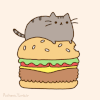 猫咪 食物 汉堡包 动态