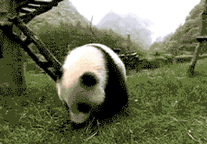熊猫 翻滚 草地 可爱