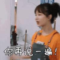 中餐厅 杨紫 你在说一遍 搞怪 表情