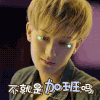 夜空中最闪亮的星 黄子韬 郑柏旭 加班