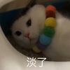 萌宠 喵星人 淡了 无所谓了 憨憨 呆萌