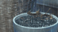 竹筐 水缸 下雨