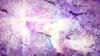 二次元 阳光 落花 唯美