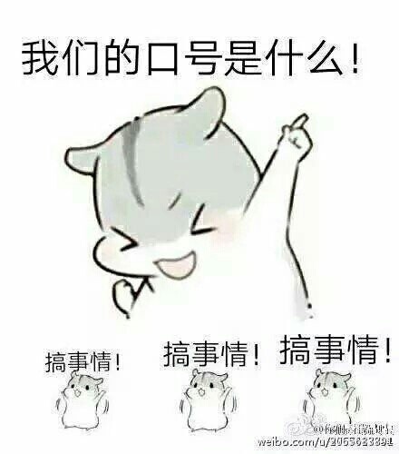 我们的口号是什么搞事情 可爱 萌萌哒 恶搞