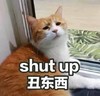 萌宠 猫星人 丑东西 shut up 搞怪 呆萌