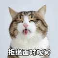 拒绝 面对 现实 猫