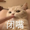 萌宠 喵星人 闭嘴 别说话 搞怪 逗