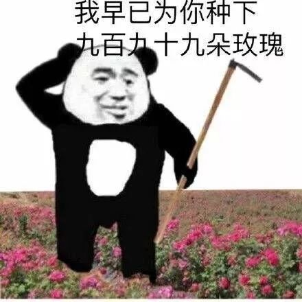 抖音表情 抖音表情包 抖音 举个小人 抖音套路 土味撩 强撩