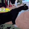 猫 卖萌 可爱 搞笑