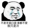 暴漫 熊猫头 不是手插口袋 谁也不爱 我只是冷 搞怪 逗