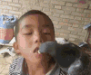 男孩 鸽子 喂食 好厉害呀 这才是真爱啊