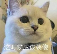 萌宠 猫星人 这时候应该装傻 好奇 呆萌 可爱