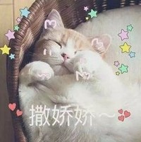 撒娇娇 猫咪 可爱 星星 讯飞