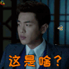 麻雀 张若昀 这是啥 懵 soogif soogif出品