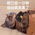 猫 喵星人 他已经一分钟没回我消息了 伤心