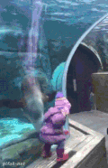 海豚 海底世界 女孩 玩耍
