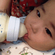 婴儿 吃奶 奶瓶 可爱