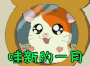 月初时光