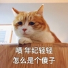 萌宠 猫星人 年纪轻轻 怎么是个傻子呆萌 可爱