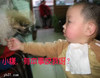 小孩 狗狗 挑衅 小样有本事咬我呀
