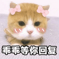 乖乖 回复 猫