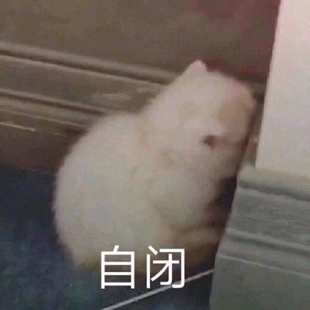 萌宠gif猫星人gif自闭gif无奈gif呆萌gif可爱gif