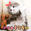 萌宠 猫星人 小仙女要宠着的 害羞 搞怪 逗
