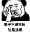 暴漫 文字表情包 狮子不跟狗玩这是规矩 逗 沙雕 魔性