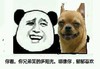熊猫头 兄弟笑的阳光 郁郁寡欢 斗图 搞笑 猥琐