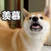萌宠 汪星人 羡慕 我也想要 呆萌 搞怪