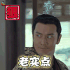 琅琊榜2 黄晓明 老实点 soogif soogif出品
