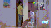 狗狗 小七 奔跑 关门
